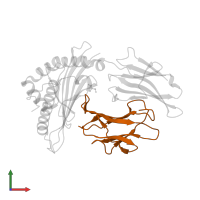 Beta-2-microglobulin in PDB entry 5ddh, assembly 1, front view.