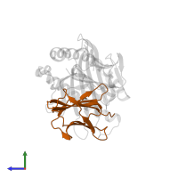 Beta-2-microglobulin in PDB entry 5ddh, assembly 1, side view.