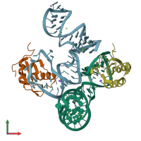 PDB entry 5ddp coloured by chain, front view.
