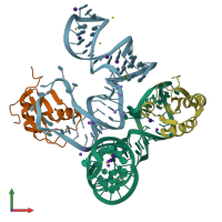 PDB entry 5ddr coloured by chain, front view.