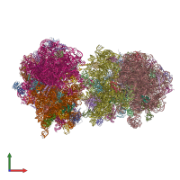 PDB entry 5dfe coloured by chain, front view.