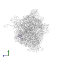 Large ribosomal subunit protein uL29 in PDB entry 5dfe, assembly 2, side view.