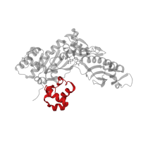 The deposited structure of PDB entry 5dga contains 1 copy of CATH domain 1.10.150.20 (DNA polymerase; domain 1) in DNA polymerase eta. Showing 1 copy in chain A.