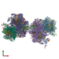 PDB entry 5dge coloured by chain, front view.