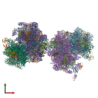 PDB entry 5dgf coloured by chain, front view.