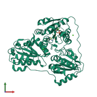 PDB entry 5dgt coloured by chain, front view.