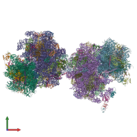PDB entry 5dgv coloured by chain, front view.