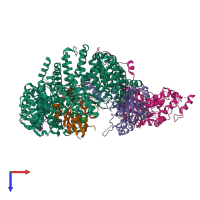 Hetero tetrameric assembly 1 of PDB entry 5dis coloured by chemically distinct molecules, top view.