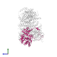 Maltose/maltodextrin-binding periplasmic protein in PDB entry 5dis, assembly 1, side view.
