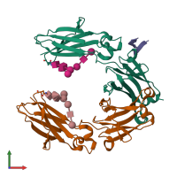 PDB entry 5dj0 coloured by chain, front view.