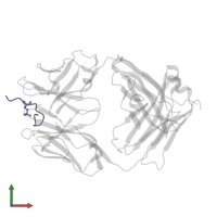 Microtubule-associated protein tau in PDB entry 5dmg, assembly 1, front view.