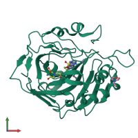 PDB entry 5dog coloured by chain, front view.