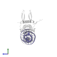 DNA (27-MER) in PDB entry 5dtd, assembly 1, side view.