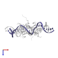 DNA (27-MER) in PDB entry 5dtd, assembly 1, top view.