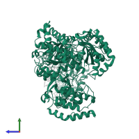 RNA-directed RNA polymerase NS5 in PDB entry 5dto, assembly 1, side view.