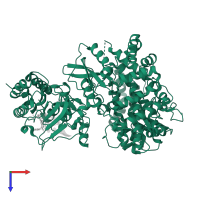 RNA-directed RNA polymerase NS5 in PDB entry 5dto, assembly 1, top view.