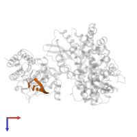 RNA (5'-R(P*AP*GP*UP*U)-3') in PDB entry 5dto, assembly 1, top view.