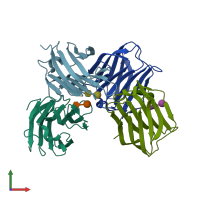 PDB entry 5duw coloured by chain, front view.