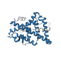 The deposited structure of PDB entry 5dxg contains 2 copies of Pfam domain PF00104 (Ligand-binding domain of nuclear hormone receptor) in Estrogen receptor. Showing 1 copy in chain A.