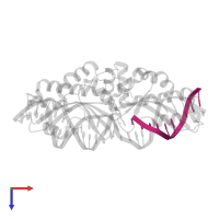DNA (5'-D(P*CP*AP*GP*GP*TP*GP*TP*AP*CP*G)-3') in PDB entry 5e5s, assembly 1, top view.