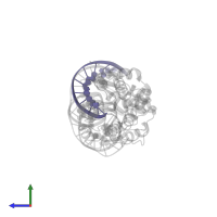 DNA left half site bottom strand in PDB entry 5e63, assembly 1, side view.