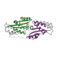 The deposited structure of PDB entry 5e67 contains 2 copies of Pfam domain PF00961 (LAGLIDADG endonuclease) in Homing endonuclease LAGLIDADG domain-containing protein. Showing 2 copies in chain A.