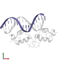 DNA (5'-D(*AP*TP*CP*AP*GP*GP*AP*AP*AP*TP*TP*CP*CP*CP*AP*G)-3') in PDB entry 5e6a, assembly 1, front view.