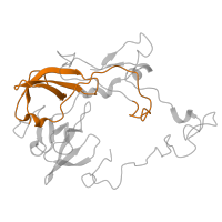 The deposited structure of PDB entry 5e7k contains 2 copies of Pfam domain PF00181 (Ribosomal Proteins L2, RNA binding domain) in Large ribosomal subunit protein uL2. Showing 1 copy in chain FC [auth 19].