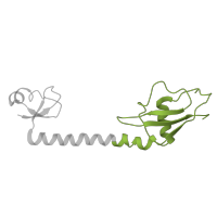 The deposited structure of PDB entry 5e7k contains 2 copies of Pfam domain PF03948 (Ribosomal protein L9, C-terminal domain) in Large ribosomal subunit protein bL9. Showing 1 copy in chain HA [auth 61].