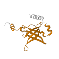 The deposited structure of PDB entry 5e7k contains 2 copies of Pfam domain PF01245 (Ribosomal protein L19) in Large ribosomal subunit protein bL19. Showing 1 copy in chain RC [auth 75].