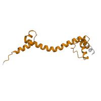 The deposited structure of PDB entry 5e7k contains 2 copies of Pfam domain PF00453 (Ribosomal protein L20) in Large ribosomal subunit protein bL20. Showing 1 copy in chain SC [auth 85].