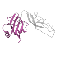 The deposited structure of PDB entry 5e7k contains 2 copies of Pfam domain PF01386 (Ribosomal L25p family) in Large ribosomal subunit protein bL25. Showing 1 copy in chain UA [auth H8].