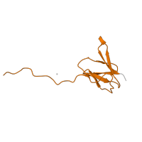 The deposited structure of PDB entry 5e7k contains 2 copies of Pfam domain PF01016 (Ribosomal L27 protein) in Large ribosomal subunit protein bL27. Showing 1 copy in chain YC [auth E5].