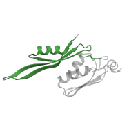 The deposited structure of PDB entry 5e7k contains 2 copies of Pfam domain PF00333 (Ribosomal protein S5, N-terminal domain) in Small ribosomal subunit protein uS5. Showing 1 copy in chain E [auth 4E].