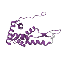 The deposited structure of PDB entry 5e7k contains 2 copies of Pfam domain PF00177 (Ribosomal protein S7p/S5e) in Small ribosomal subunit protein uS7. Showing 1 copy in chain G [auth 6E].