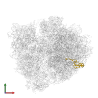 Large ribosomal subunit protein uL22 in PDB entry 5e7k, assembly 1, front view.