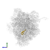 Large ribosomal subunit protein uL22 in PDB entry 5e7k, assembly 1, side view.