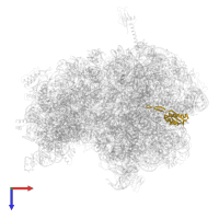 Large ribosomal subunit protein uL22 in PDB entry 5e7k, assembly 1, top view.