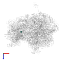 Modified residue OMC in PDB entry 5e7k, assembly 1, top view.