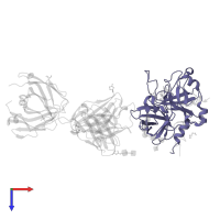 Thrombin heavy chain in PDB entry 5e8e, assembly 1, top view.