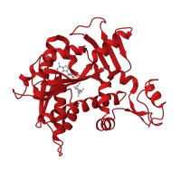 The deposited structure of PDB entry 5e8j contains 2 copies of CATH domain 3.40.50.150 (Rossmann fold) in mRNA cap guanine-N7 methyltransferase. Showing 1 copy in chain A.