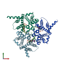 PDB entry 5egi coloured by chain, front view.