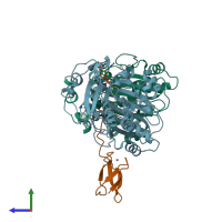PDB entry 5ein coloured by chain, side view.
