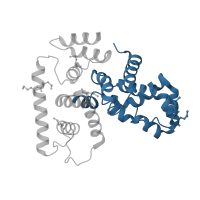 The deposited structure of PDB entry 5ejc contains 2 copies of CATH domain 1.10.472.80 (Cyclin A; domain 1) in TBC1 domain family member 7. Showing 1 copy in chain A.