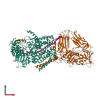 PDB entry 5ejz coloured by chain, front view.