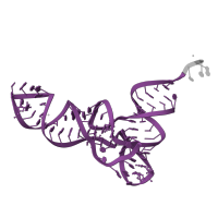 The deposited structure of PDB entry 5el4 contains 2 copies of Rfam domain RF00005 (tRNA) in tRNA-fMet. Showing 1 copy in chain W [auth 2K].