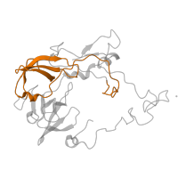 The deposited structure of PDB entry 5el4 contains 2 copies of Pfam domain PF00181 (Ribosomal Proteins L2, RNA binding domain) in Large ribosomal subunit protein uL2. Showing 1 copy in chain CA [auth 11].