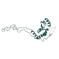 The deposited structure of PDB entry 5el4 contains 2 copies of Pfam domain PF00573 (Ribosomal protein L4/L1 family) in Large ribosomal subunit protein uL4. Showing 1 copy in chain GC [auth 39].