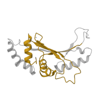 The deposited structure of PDB entry 5el4 contains 2 copies of Pfam domain PF00673 (ribosomal L5P family C-terminus) in Large ribosomal subunit protein uL5. Showing 1 copy in chain FA [auth 41].