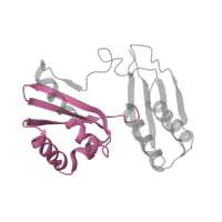 The deposited structure of PDB entry 5el4 contains 2 copies of Pfam domain PF07650 (KH domain) in Small ribosomal subunit protein uS3. Showing 1 copy in chain C [auth 2E].